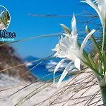 Giglio Di Mare Appartement *