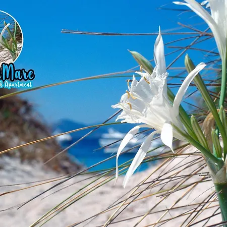Giglio Di Mare アパート *